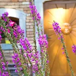 Hoellerhof Apartman *