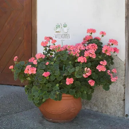 شقة Hoellerhof