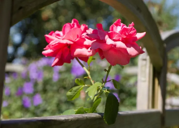 아파트 Hoellerhof *