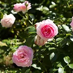 Hoellerhof Sankt Marien