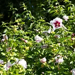 Hoellerhof * Sankt Marien