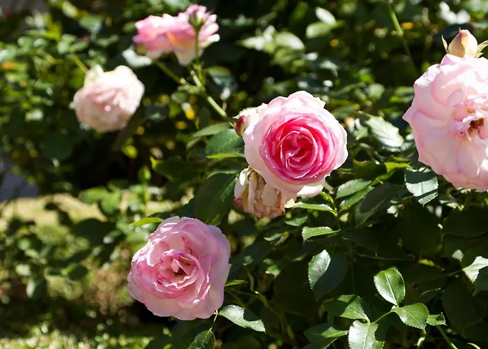 Hoellerhof Sankt Marien