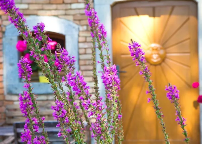 Hoellerhof Appartement *