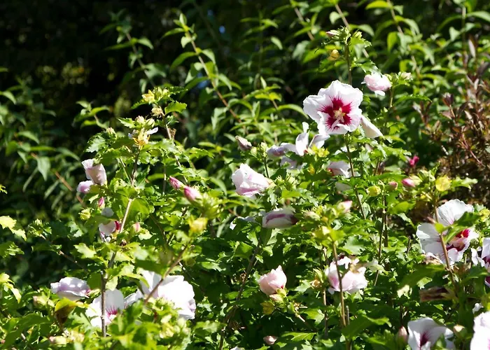 Hoellerhof * Sankt Marien